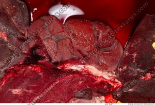 RAW meat pork viscera 0071